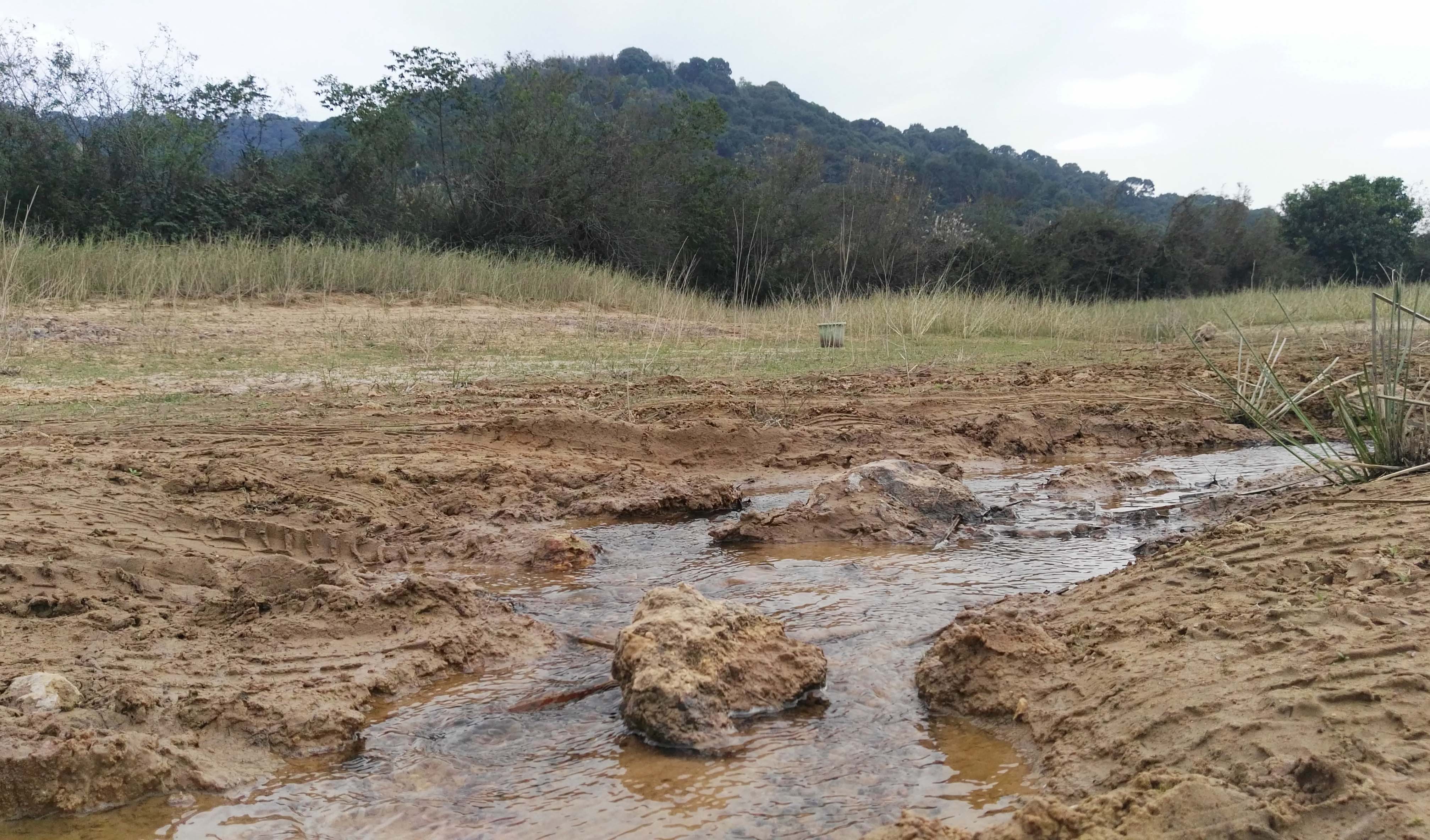 来到惠州观洞水库在靠近水边的沙泥地上实拍这里的风光好美