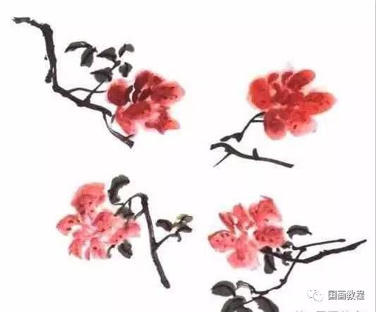 【国画教程】杜鹃花的写意画法