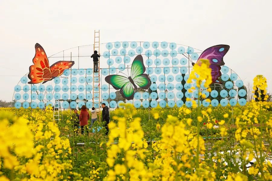 2019中国广汉西高油菜花季将于3月1日在西高镇菜花公园开幕