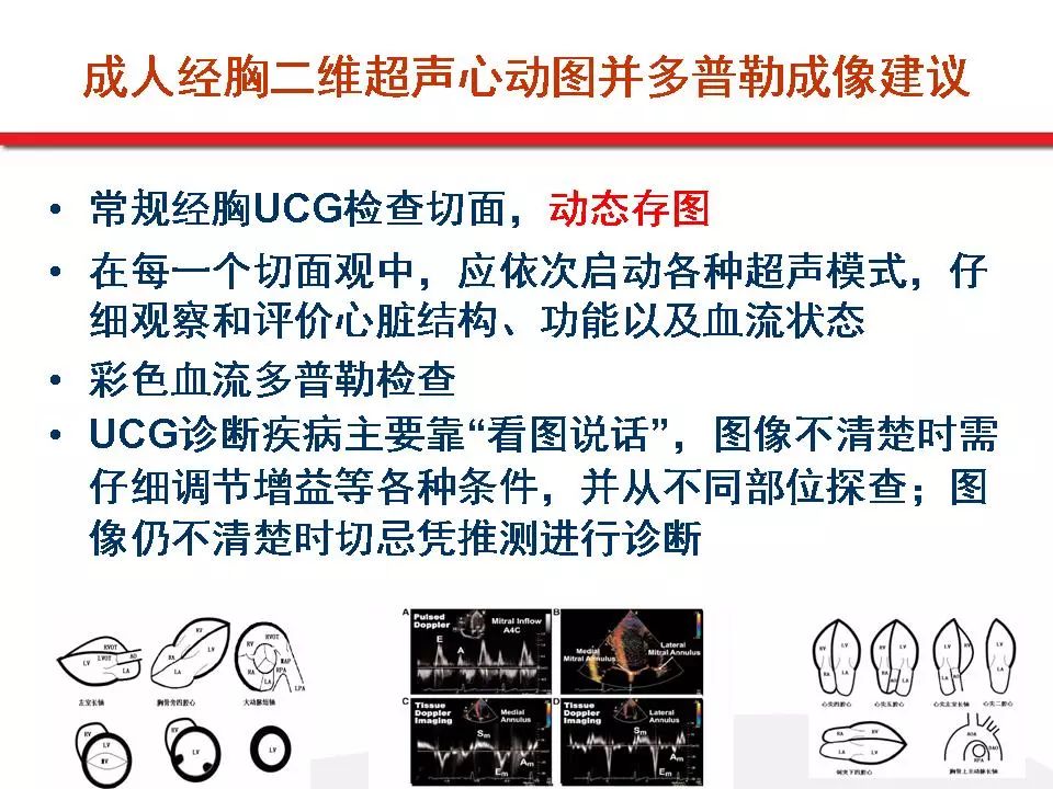 超声心动图评价左室射血分数 目前存在的问题 经胸超声心动图操作