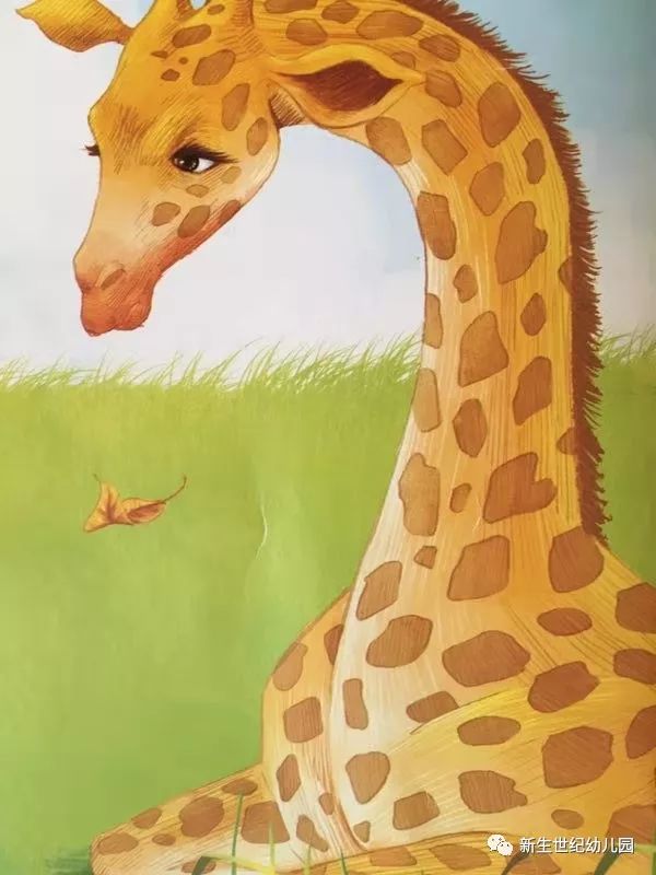 【包头市新生世纪幼儿园绘本电台】《恐高的长颈鹿》