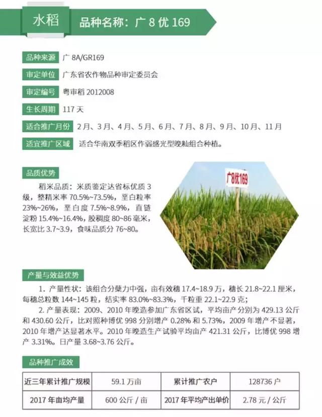 2019年广东省农业主导品种水稻