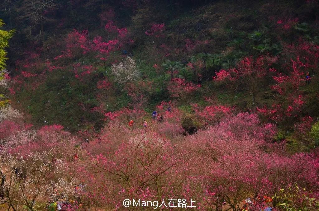 丹景山人口_丹景山观景台