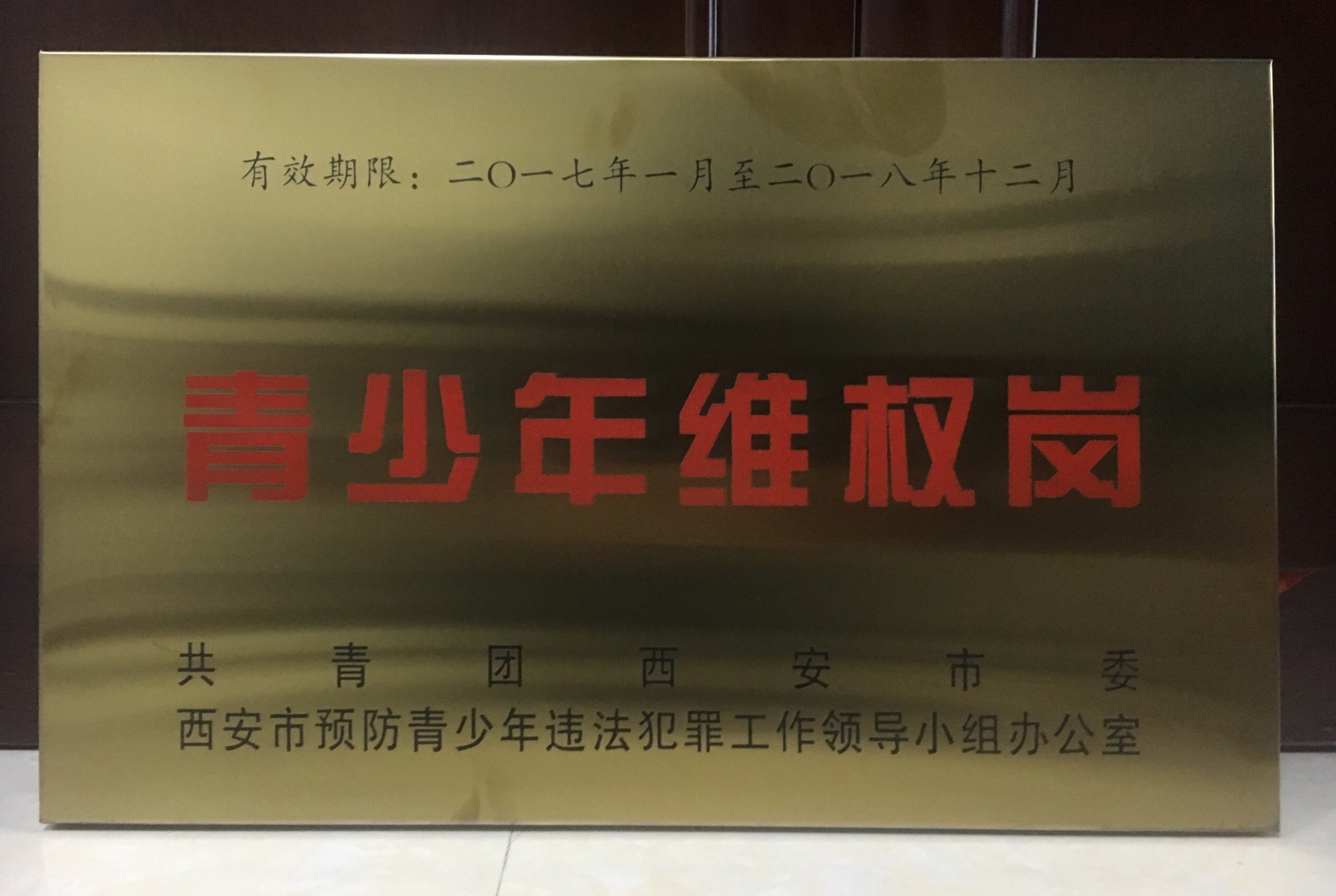 民法院未成年人综合审判庭被命名为 青少年维