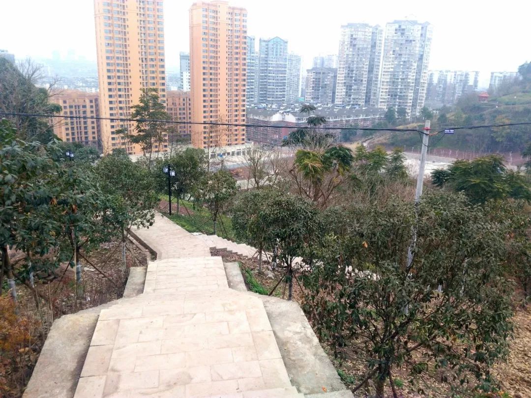 扩建中的广安玉兔公园好多坟墓,应不应该迁走?