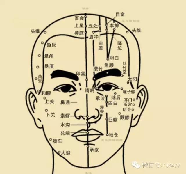 存在,而是相互关联,相互制约的,上至五脏六腑,四肢百骸,下至五官九窍