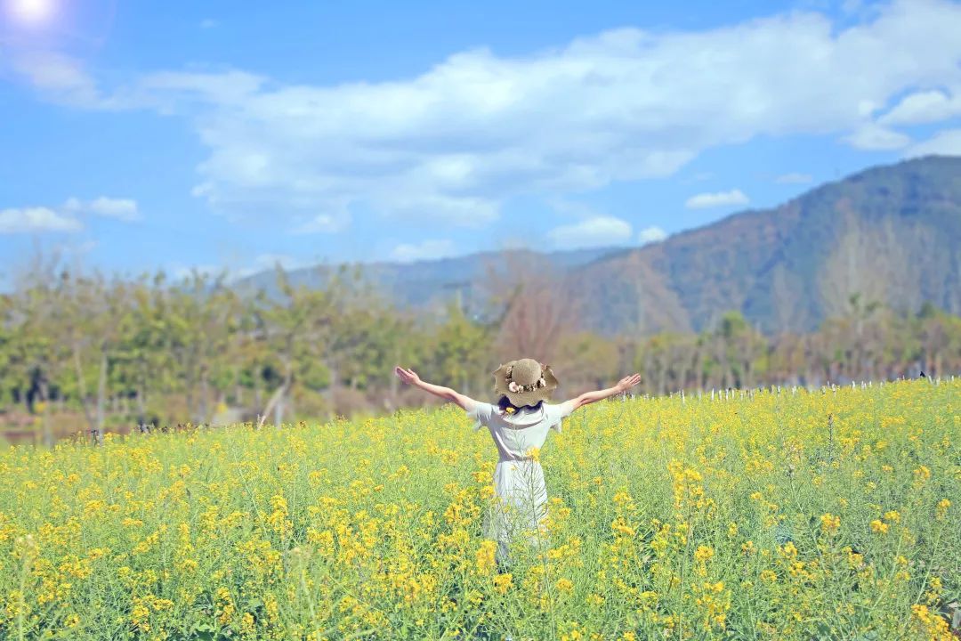 好嗨哦油菜花开啦来邂逅西昌最美初春