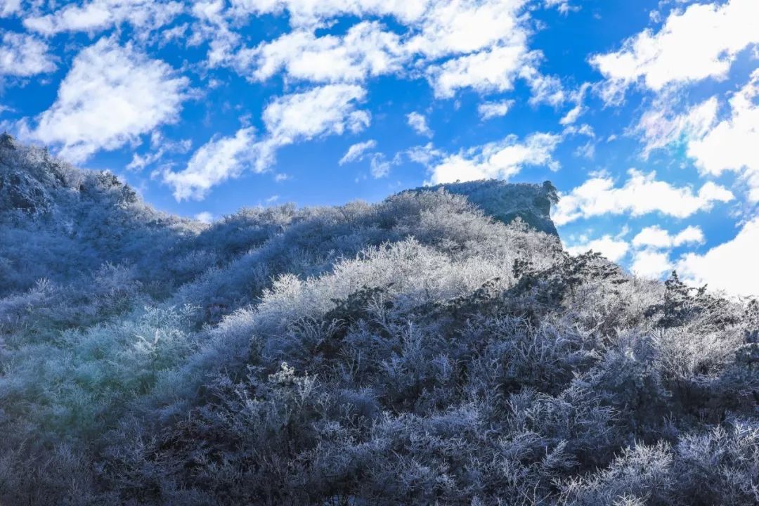 雨雪中的安徽——岳西_天气