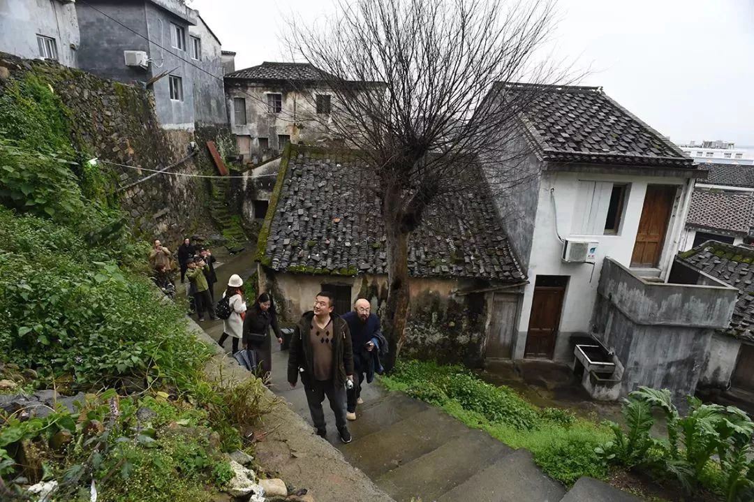 山海苍南和美霞关——吴山明中国画创研班苍南霞关采风写生活动开班