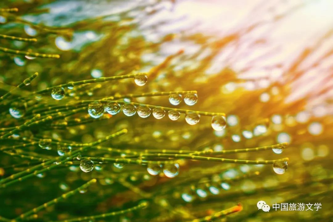 行走丨雨中