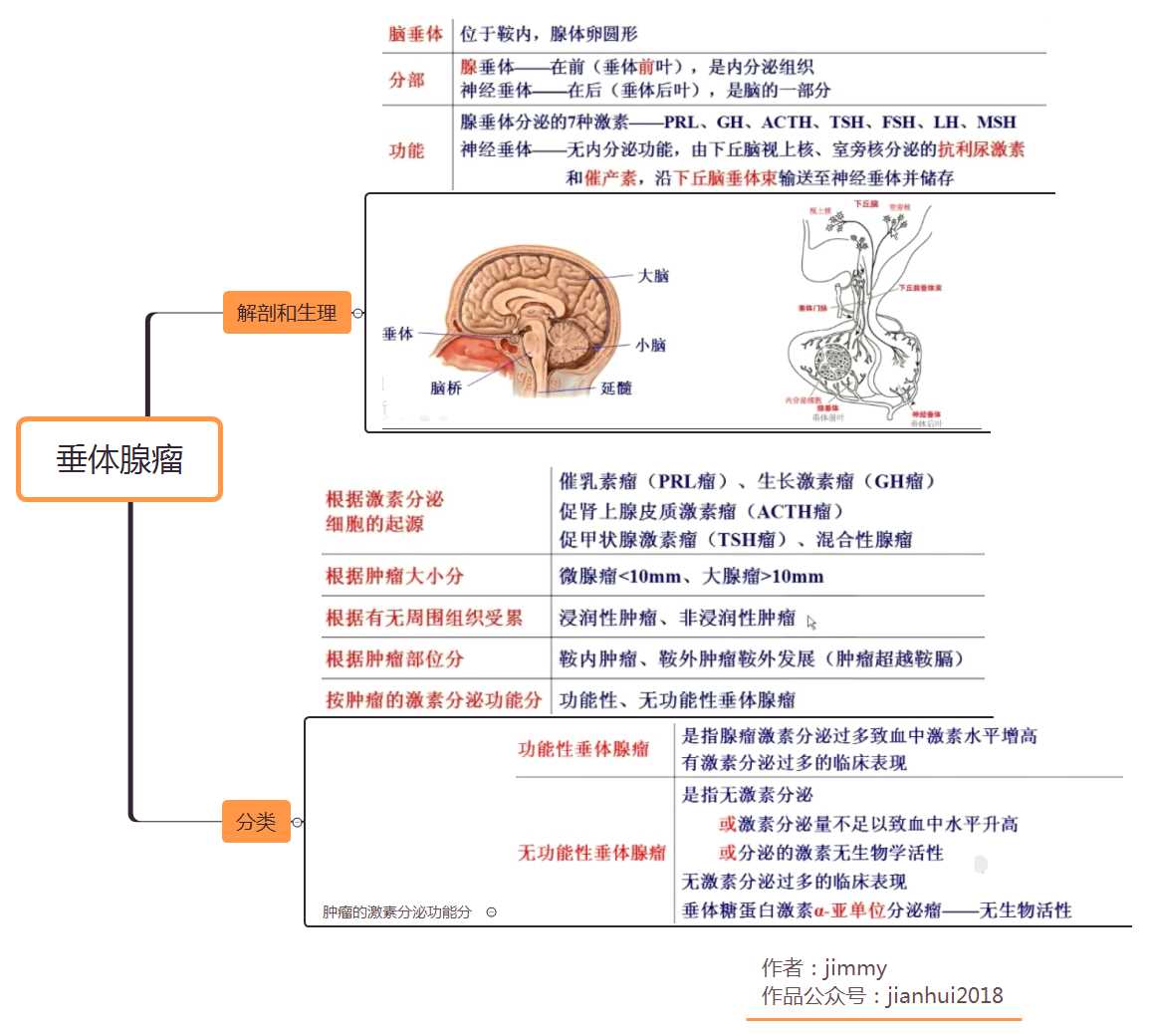 垂体腺瘤考研/执业医师/临床思维导图