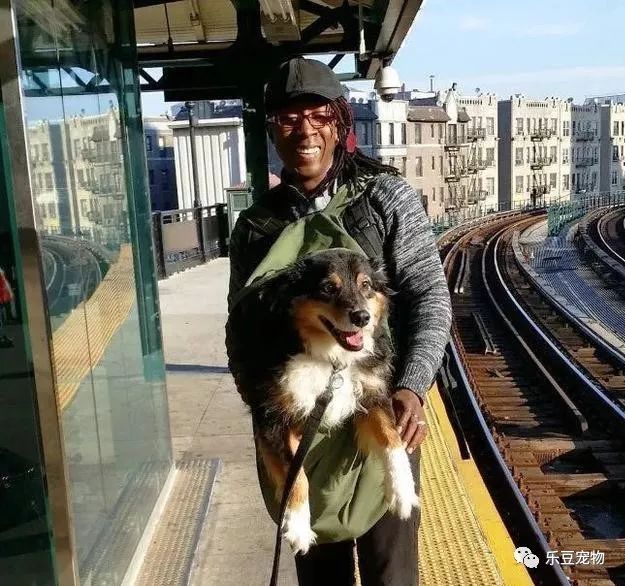 紐約地鐵規定，只要把狗狗打包就可乘車，於是人們各種招數盡出… 未分類 第3張