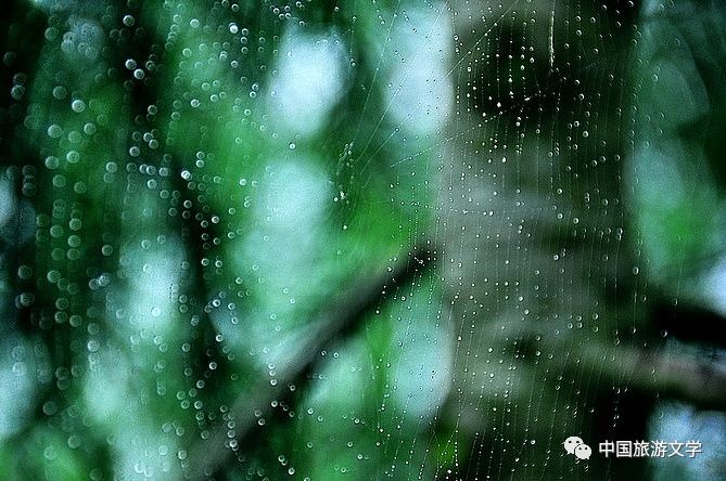 行走丨雨中