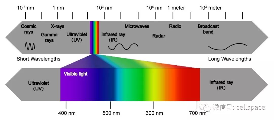 图1. 电磁波和可见光波谱