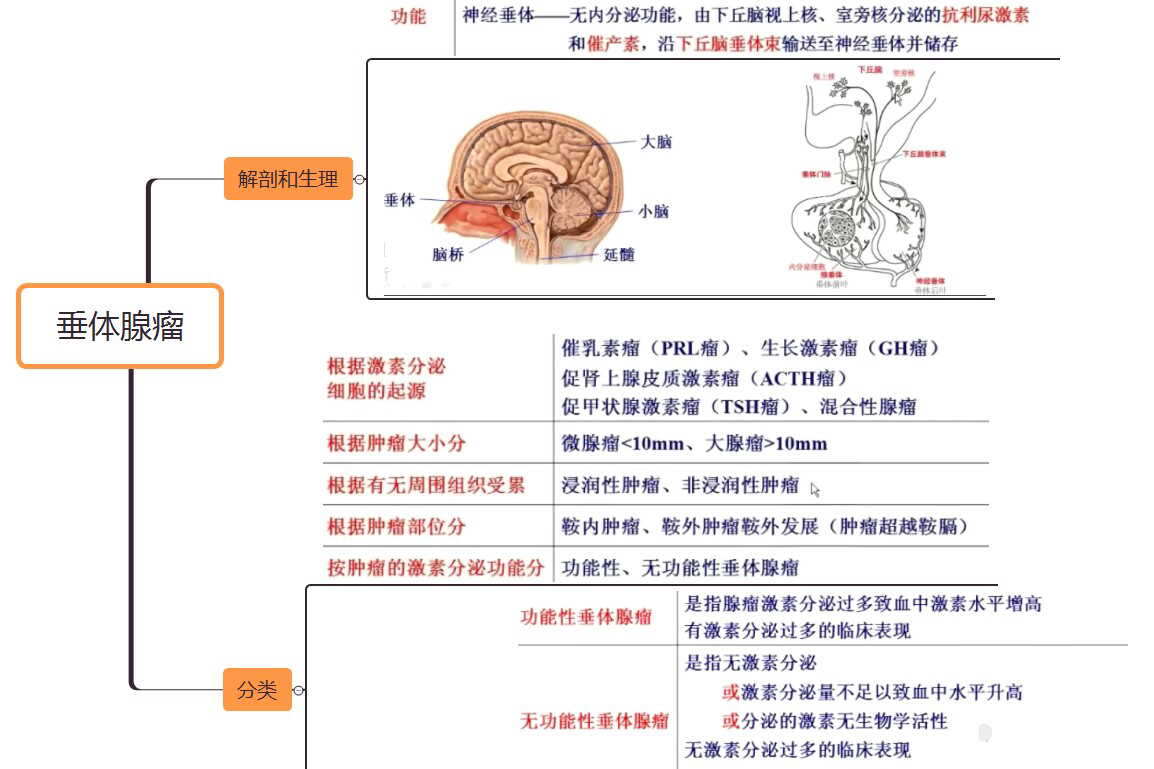 垂体腺瘤-中枢神经肿瘤图谱-医学