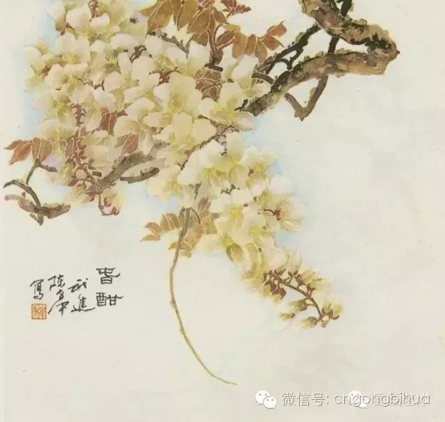 3.银藤的没骨画法