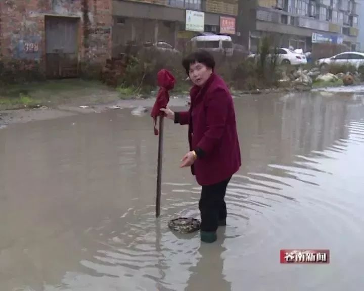 只要下雨,苍南这段路就积水!多人在这出事…_