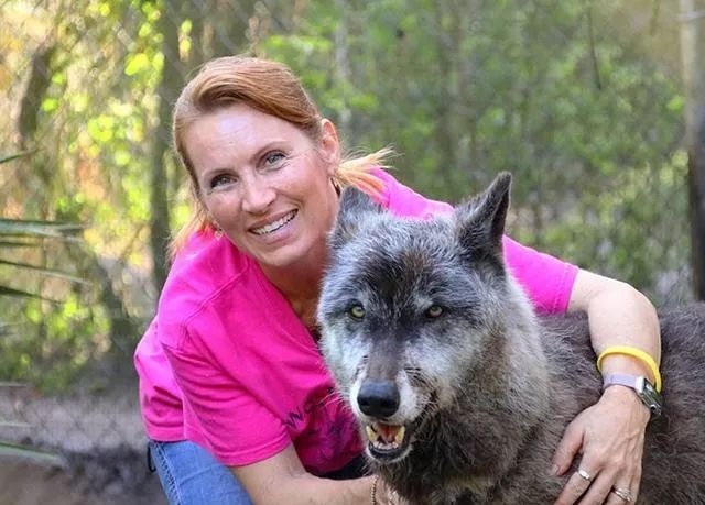 大狼犬被嫌「太像狼」丟收容所安樂志工救下證明：它超值得被愛！ 未分類 第6張