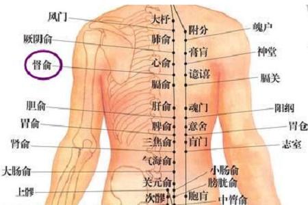 灸哥论穴:督俞穴的位置及功效