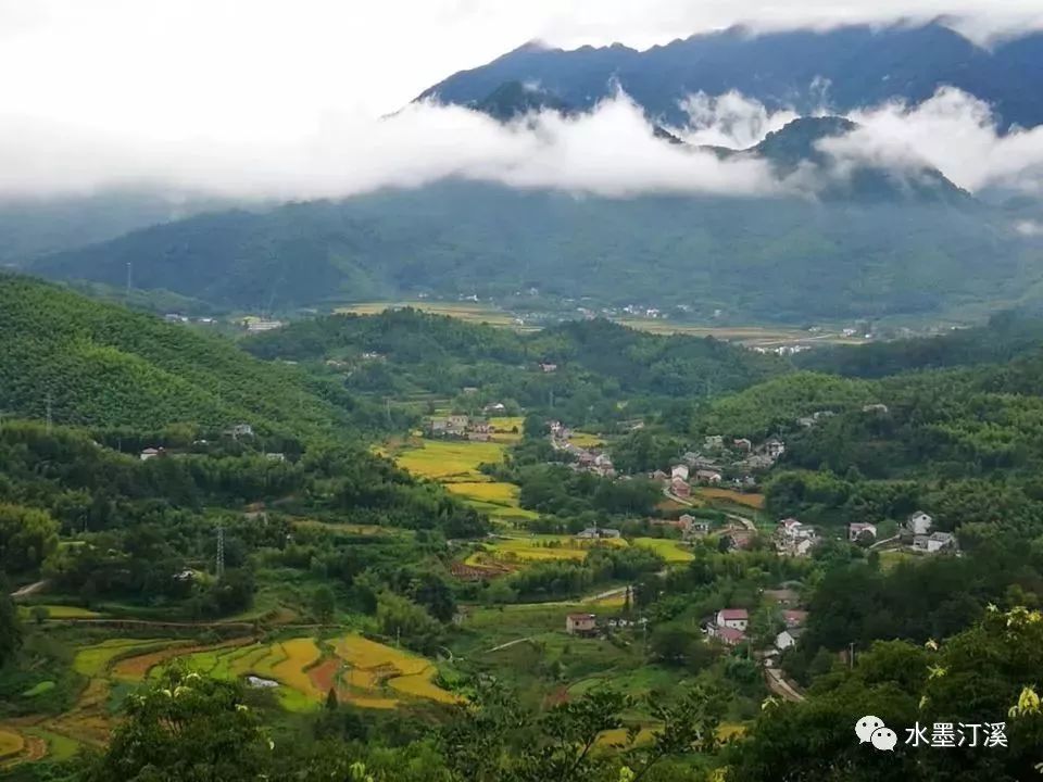 水墨汀溪是一个集青山绿水,林海茶园