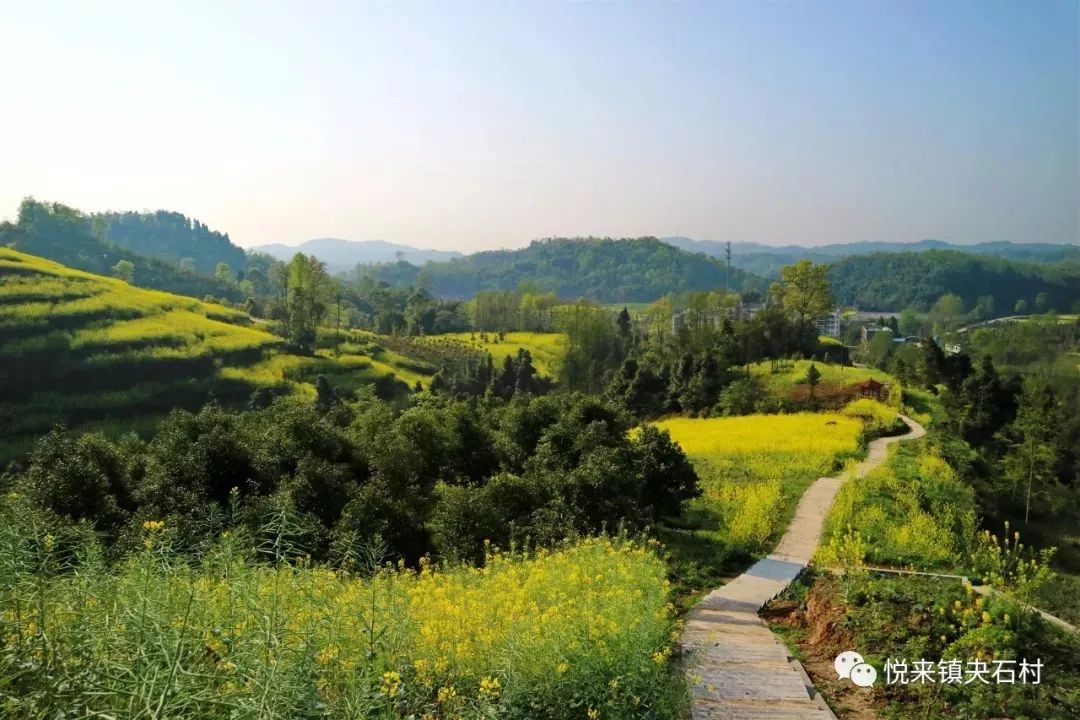 大邑人:悦来夬石村3月登山节!一起来踏春吧!_悦来镇