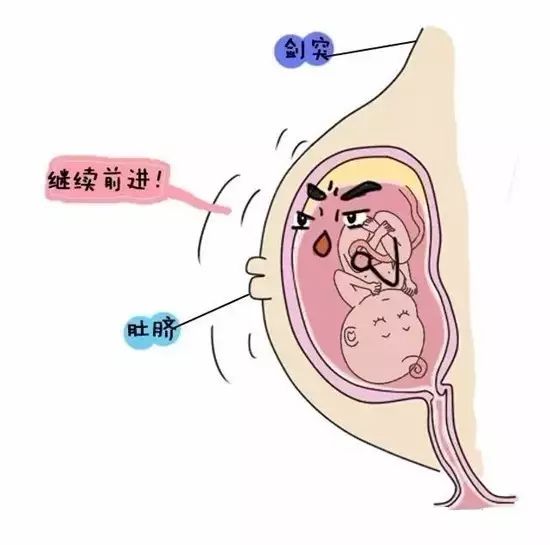 怀孕时内脏器官的"苦难",心疼每个孕妈妈!