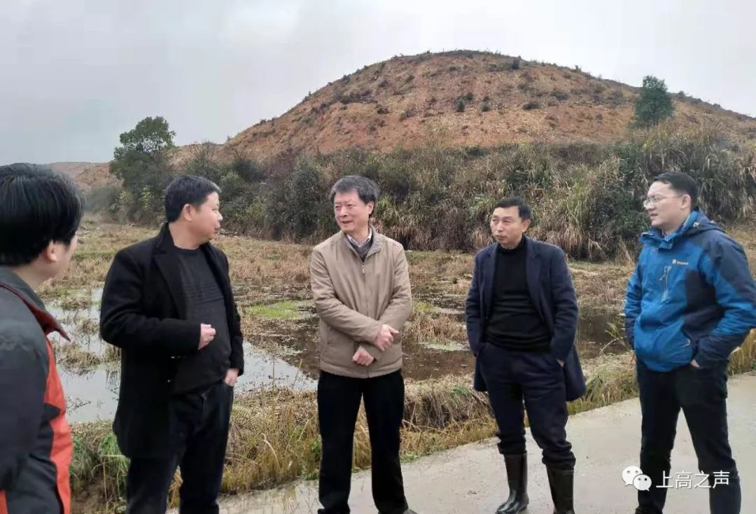 今日上高杨小春一行到上高调研造林绿化和四化建设工作