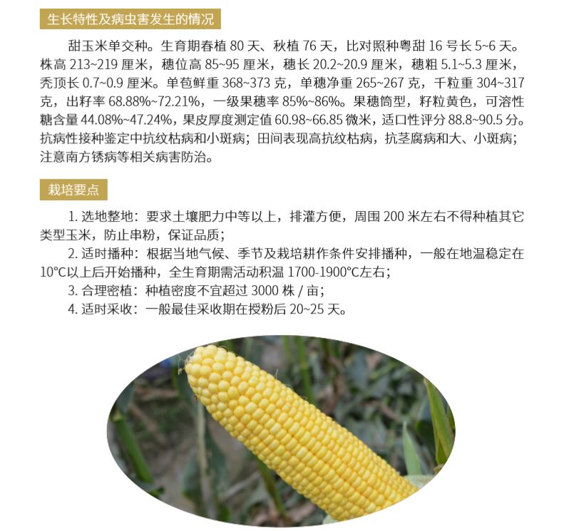 2019年广东省农业导品种详解玉米花生甘蔗