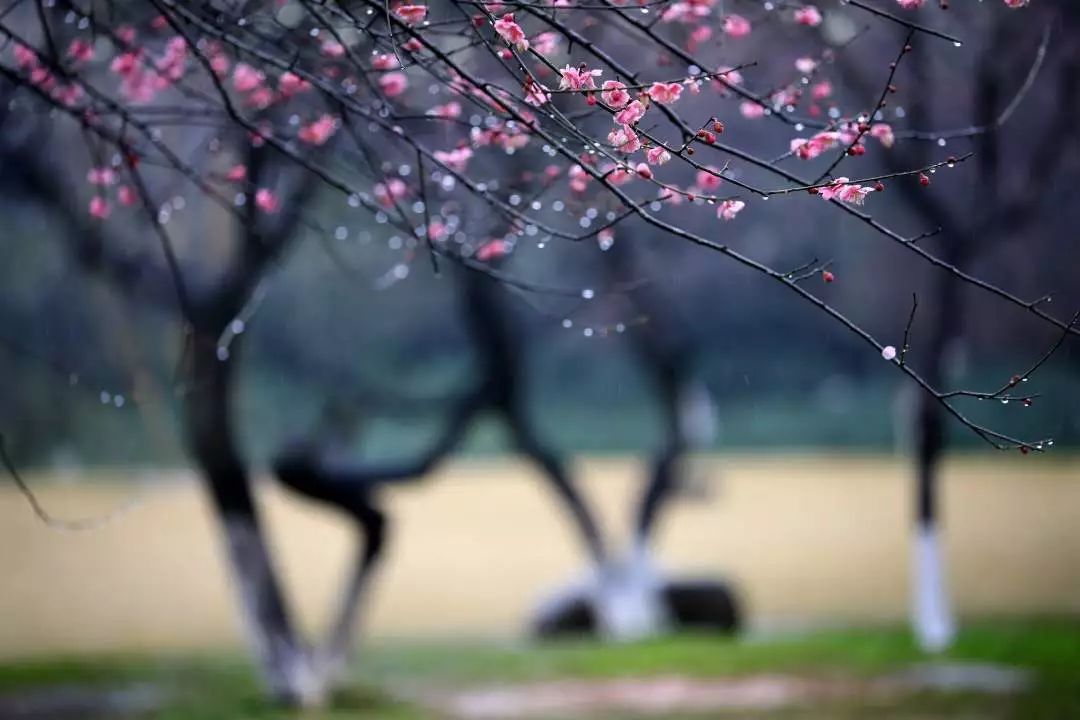 太阳出来了!错过这波春日美图,再等