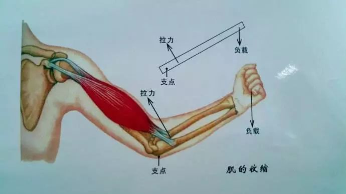 没鼠标垫怎么办