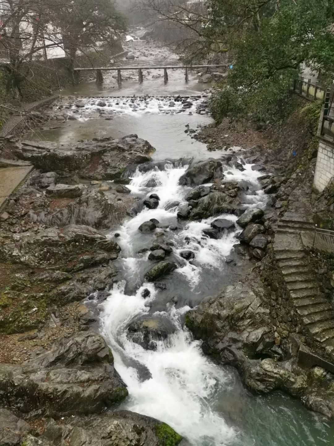 人生历程,生活背景,家族史等,与瓯海三溪中学的琦君文学馆形成呼应