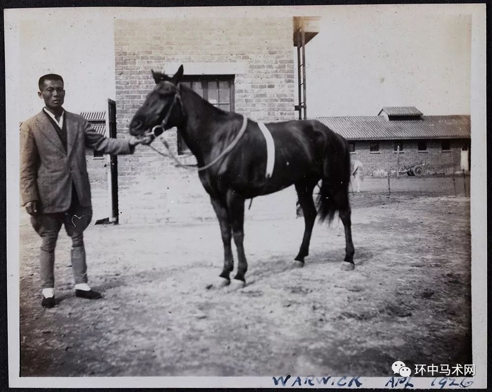 赛马"warwick"和它的马夫