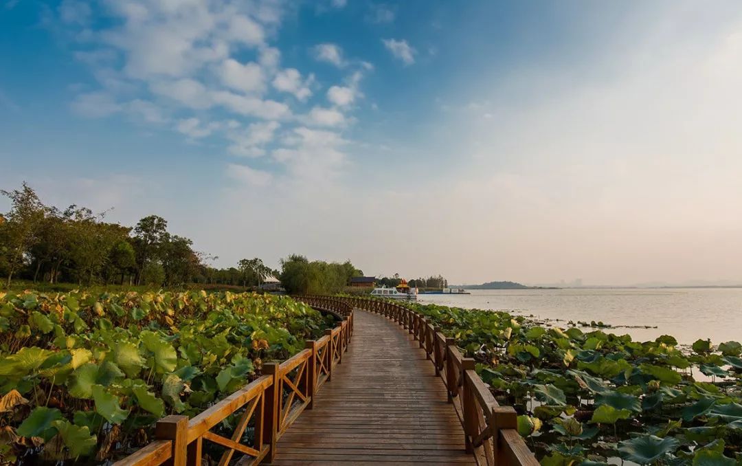 后官湖湿地公园