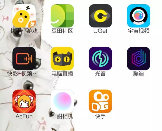 “快手家族”成与败：一年10款APP孵化易运营难