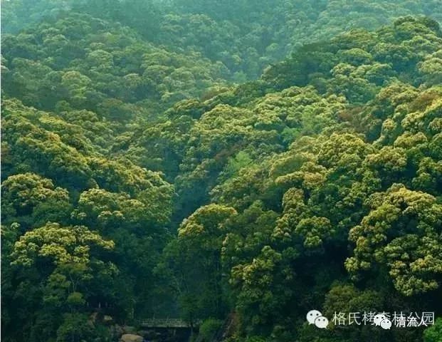 地址:三明市三元区莘口镇格氏栲国家森林公园三元蝴蝶谷生态休闲山庄