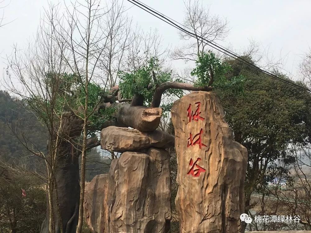 徽菜文化园 鄣山大峡谷 2019年3月8日, 游玩的女性游客 绿林谷景区