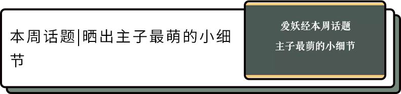 貓咪吃播大火？進來看看你家主子能成為吃播網紅貓嗎？ 寵物 第11張