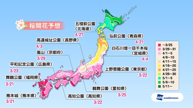 2019年日本樱花最新全攻略·3月底至4月初盛