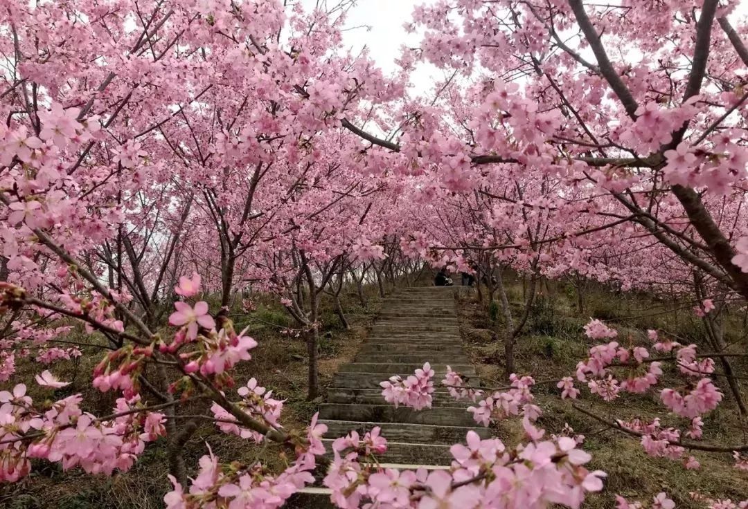 这个小县城就是清流,位于福建西部,武夷山南侧,九龙溪上游.