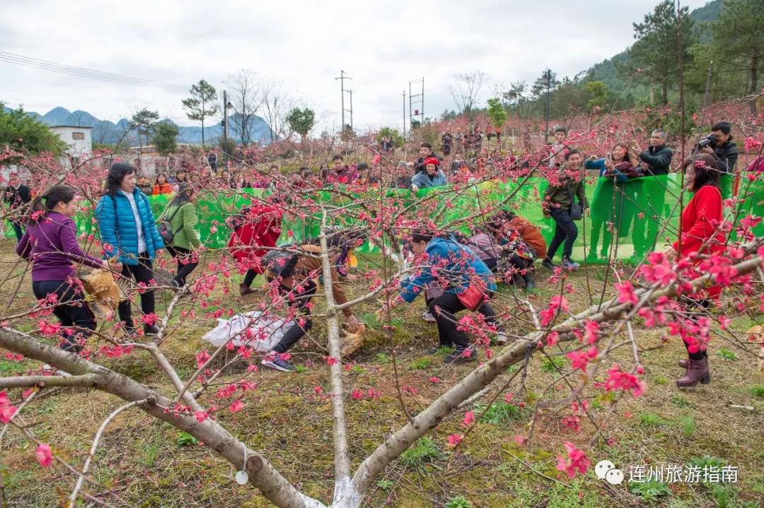 2019连州桃花节3月3日已开幕,三月跟旅游大咖当"探花使者!