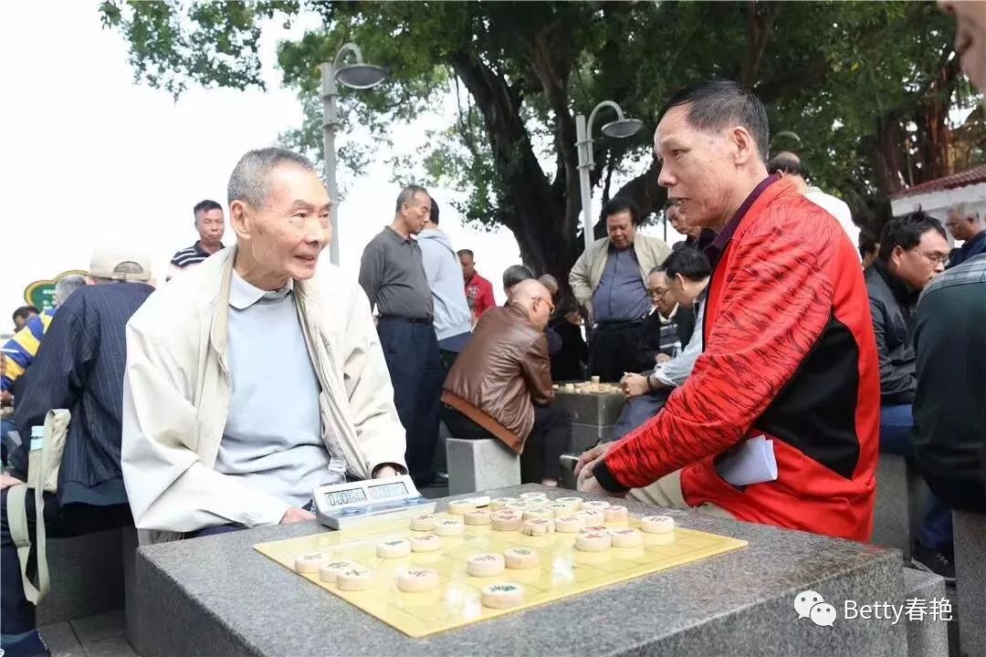 黄杨河畔,五羊名宿战斗门_象棋