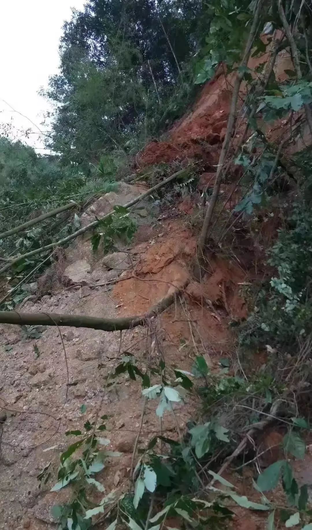 经有关部门连夜冒雨抢修,南雄市县道340线苍石水库附近塌方路段于