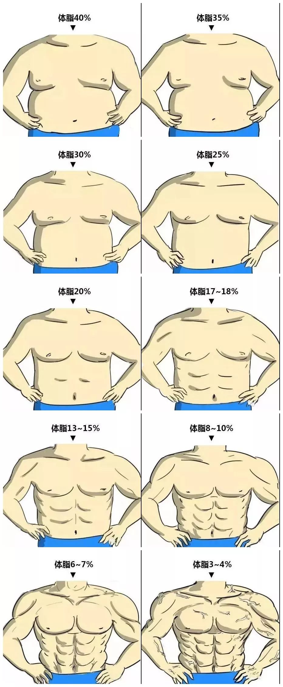 19年男女体脂对照图大曝光 看看你在哪一层 热备资讯