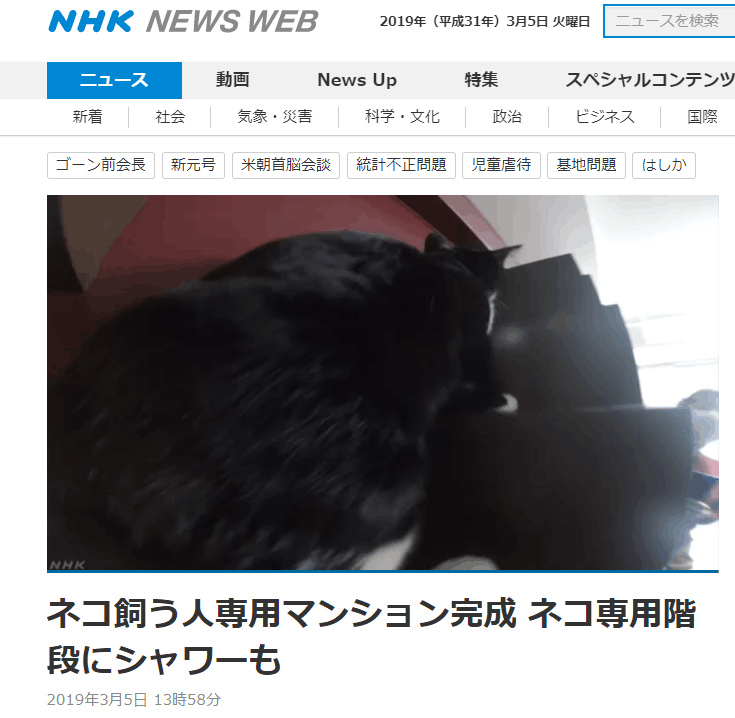 日本「鏟屎官」專用公寓上線 備有貓咪專用台階、門洞、小屋 未分類 第1張