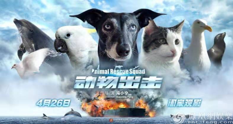 著名导演冯小宁执导的中国首部真动物主演的萌宠历险大电影《动物出击