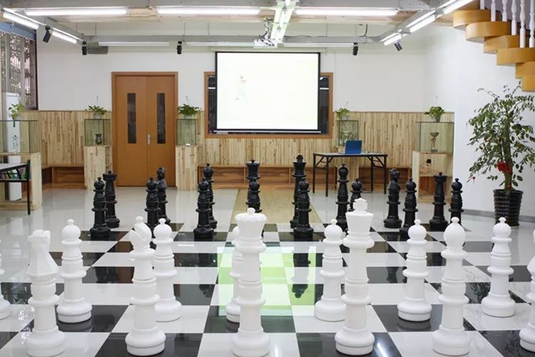 伫立在国际象棋世界的顶点—来自温州的国象棋后诸宸