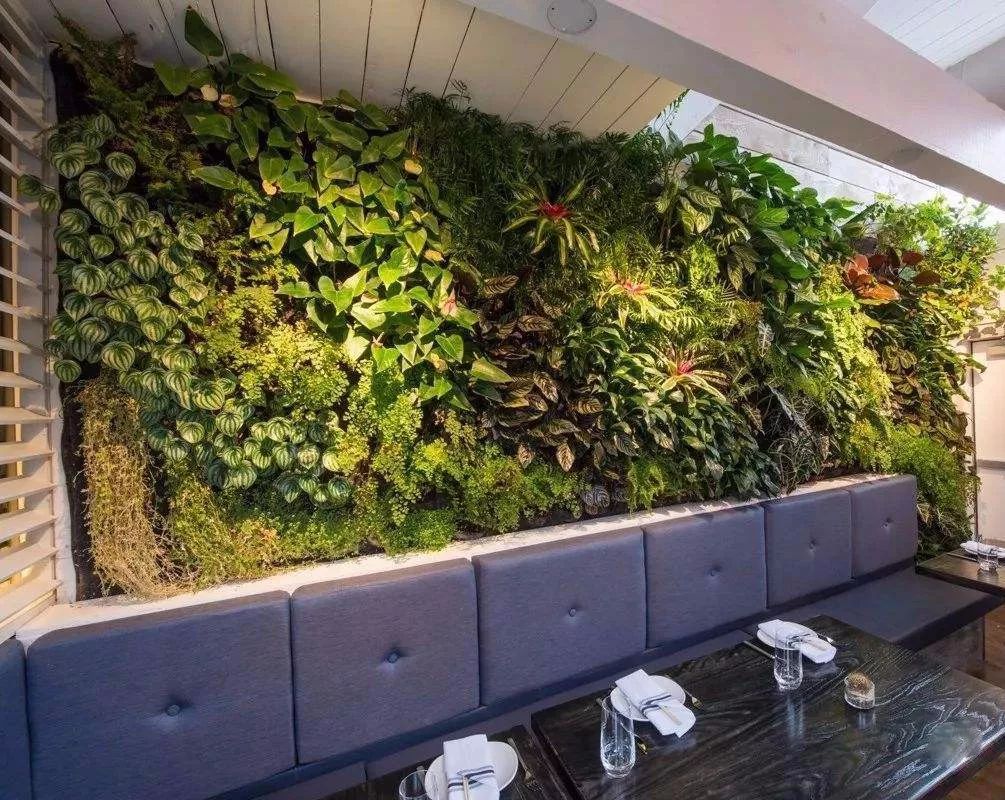 这样做植物墙,让你的绿植美上天_仿真