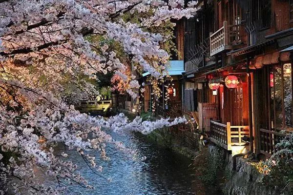 【3月至4月 出境游】￥5899起,日本赏樱之旅-