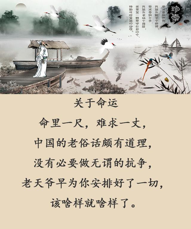 命里一尺,难求一丈;万般皆是命,半点不由人(美文)