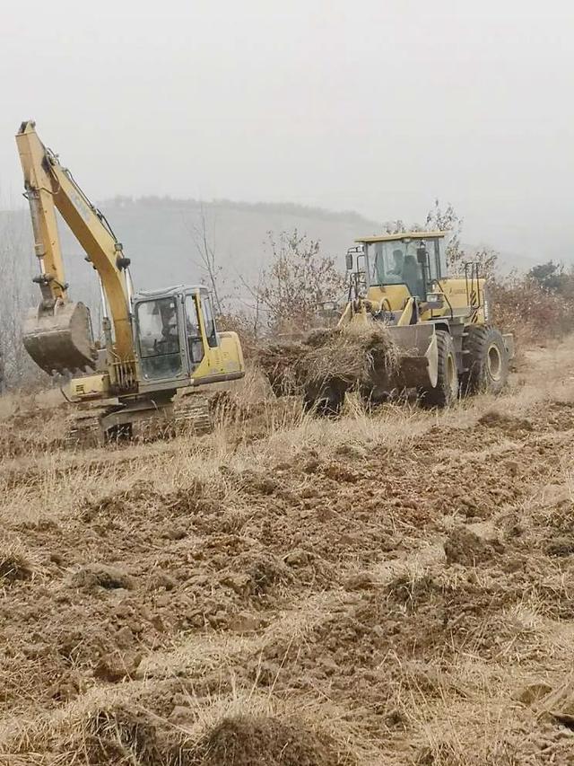 按照市政府国土绿化实施意见,枳沟镇经过认真研究规划 在庙山林场小